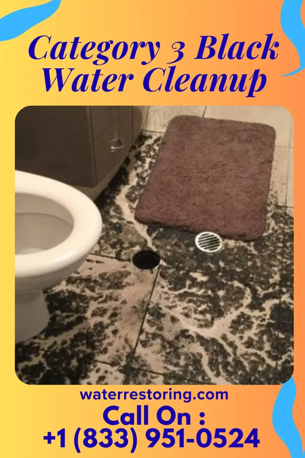 Category 3 Black Water Cleanup in Myrtle, MN