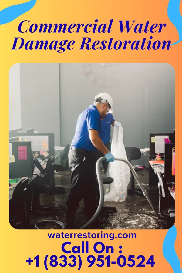 Commercial Water Damage Restoration in Myrtle, MN