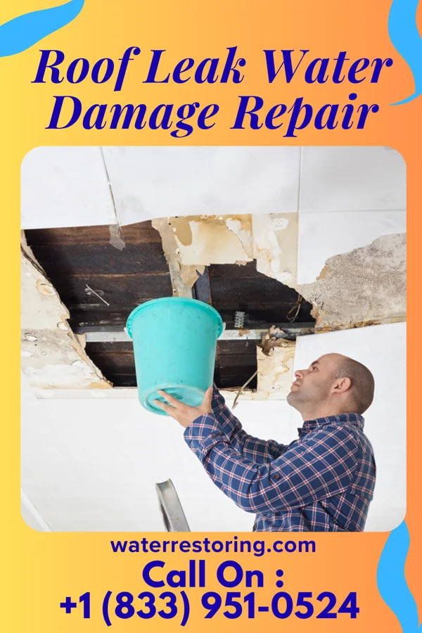 Roof Leak Water Damage Repair in Myrtle, MN