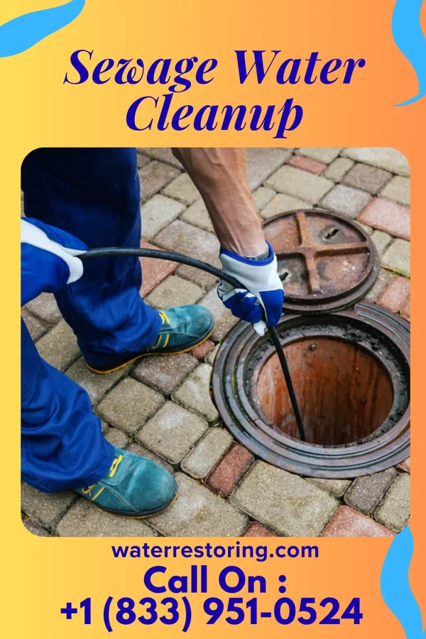 Sewage Water Cleanup in Myrtle, MN